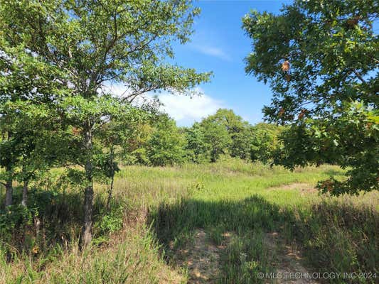 BUFFALO MOUNTAIN RD. ROAD, TALIHINA, OK 74571 - Image 1