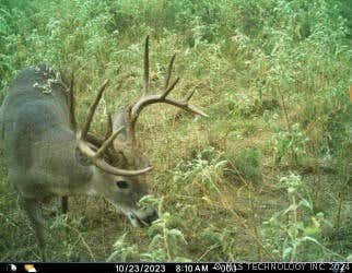 COUNTY ROAD 1780, LEHIGH, OK 74556, photo 2 of 55