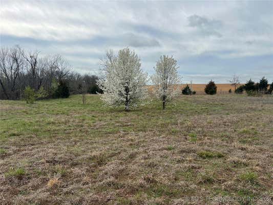 18522 E 590 RD, INOLA, OK 74036 - Image 1