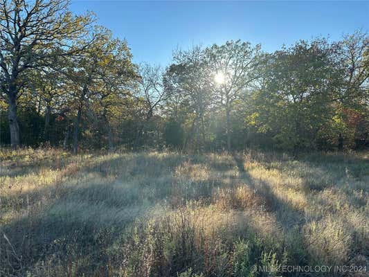 6097 COUNTY ROAD 3560, BYNG, OK 74820 - Image 1