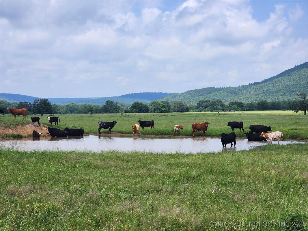 8014 SE HIGHWAY 63, TALIHINA, OK 74571, photo 1 of 35