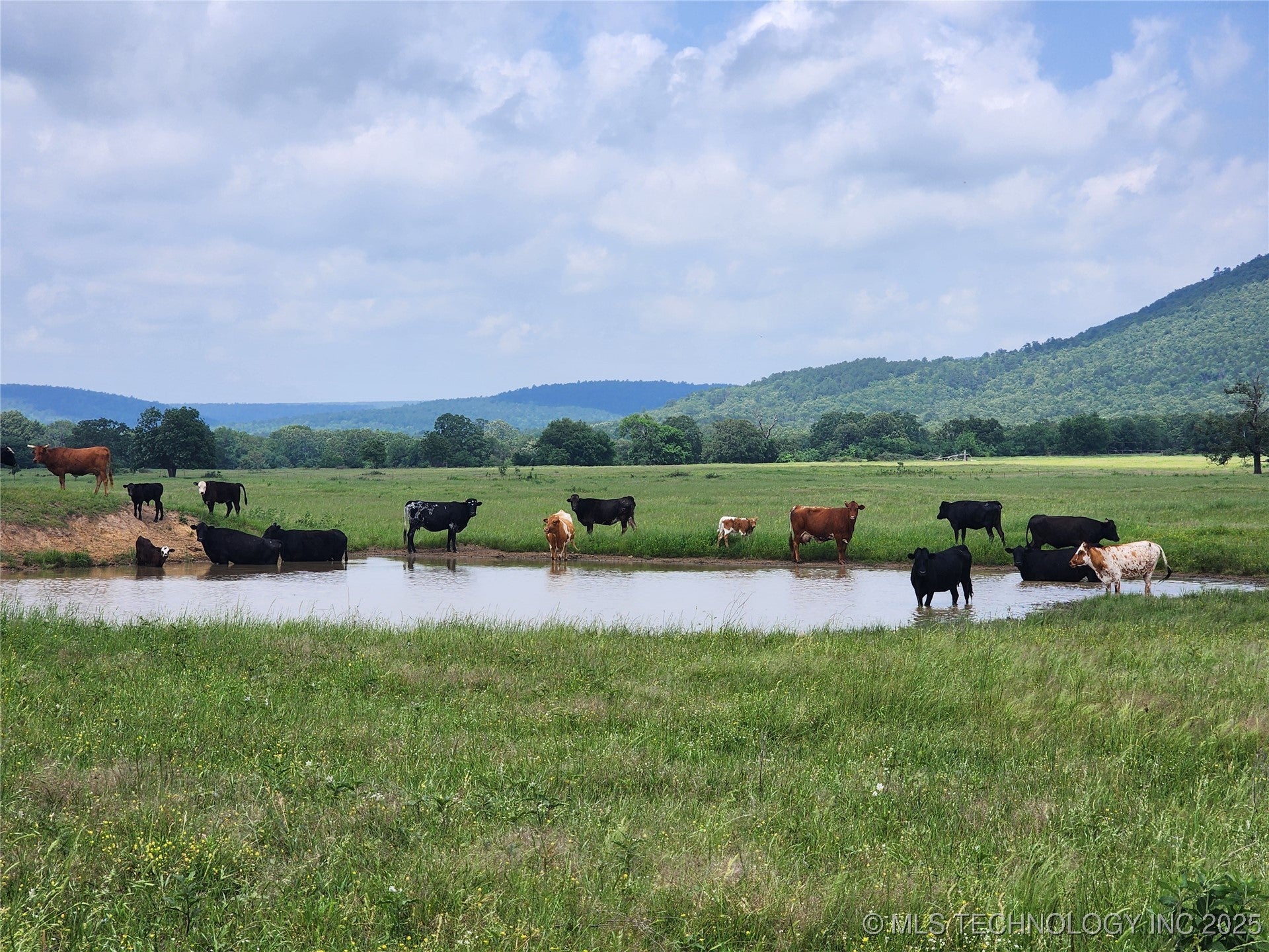 Talihina, Oklahoma, 74571, United States, ,2 BathroomsBathrooms,Residential,Active,1820338