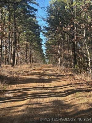 HACKNEY HILL ROAD, WILBURTON, OK 74578 - Image 1