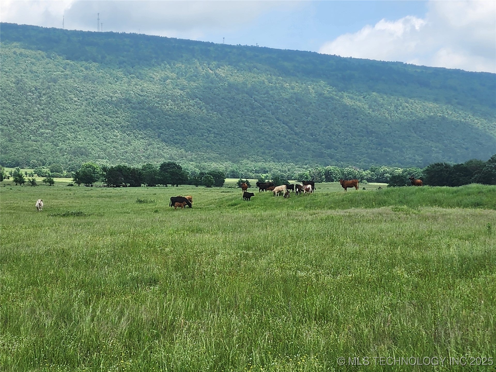 Talihina, Oklahoma, 74571, United States, ,2 BathroomsBathrooms,Residential,Active,1820338