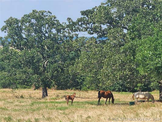 COUNTY ROAD 1780, LEHIGH, OK 74556, photo 5 of 55