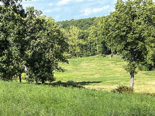 140 BLACK FOX HOLLOW ROAD, KANSAS, OK 74347 - Image 1