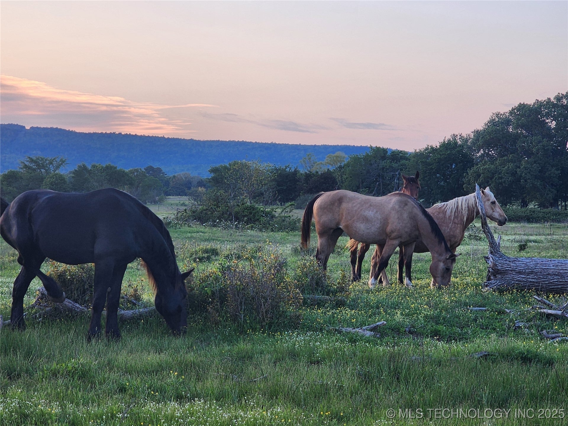 Talihina, Oklahoma, 74571, United States, ,2 BathroomsBathrooms,Residential,Active,1820338