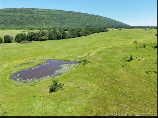 8014 SE HIGHWAY 63, TALIHINA, OK 74571, photo 3 of 35