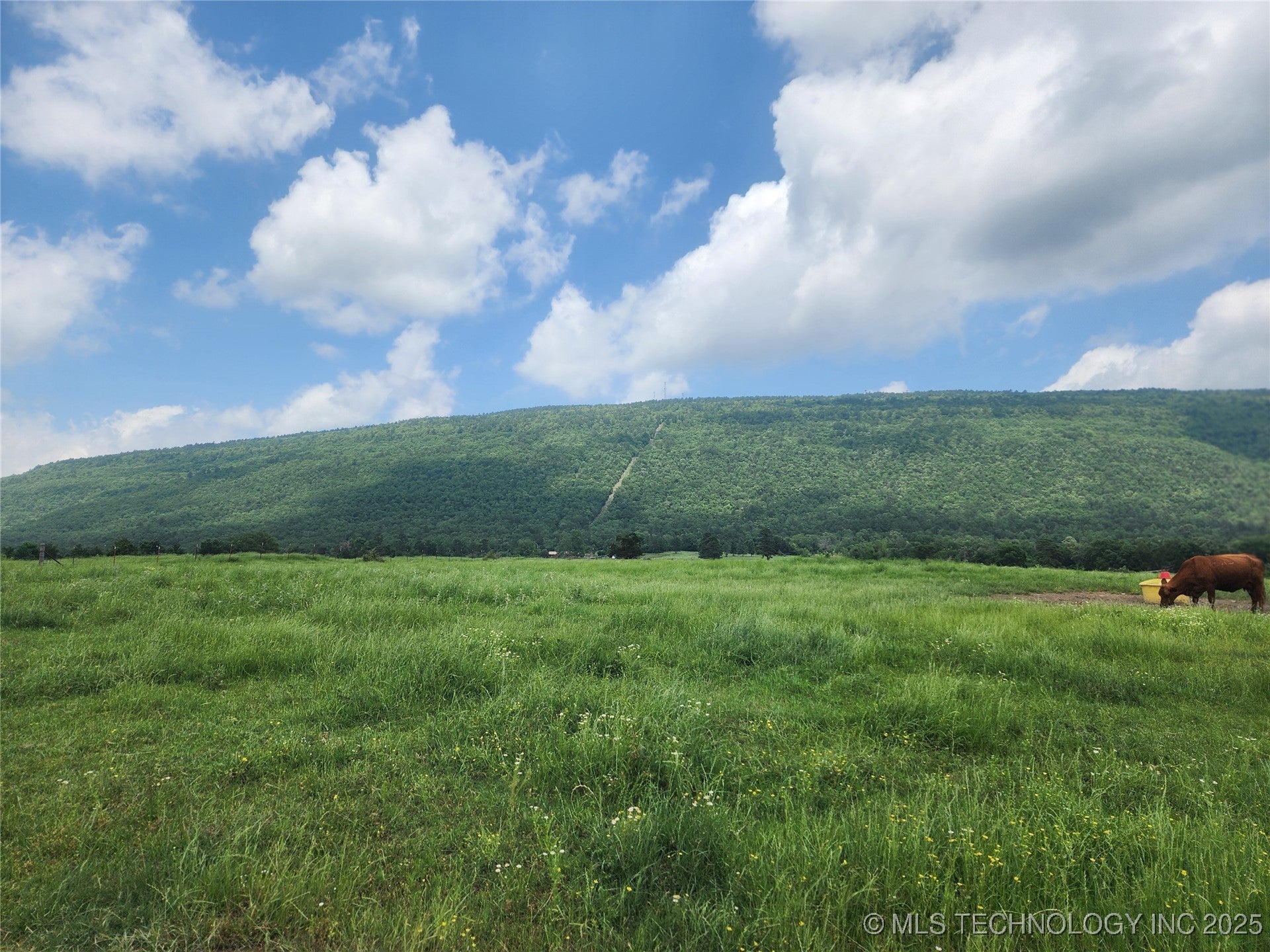 Talihina, Oklahoma, 74571, United States, ,2 BathroomsBathrooms,Residential,Active,1820338