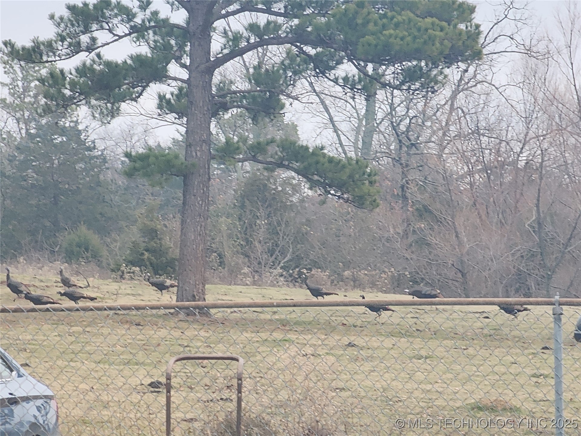 Talihina, Oklahoma, 74571, United States, ,2 BathroomsBathrooms,Residential,Active,1820338