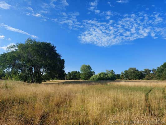 10-20-12 W/2 SE SE NE LESS RD STREET NORTH, OSAGE, OK 74126, photo 5 of 15