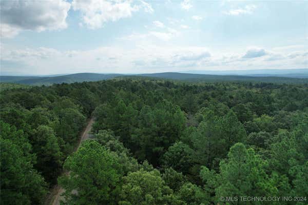 BLUE MOUNTAIN ROAD, HODGEN, OK 74939 - Image 1