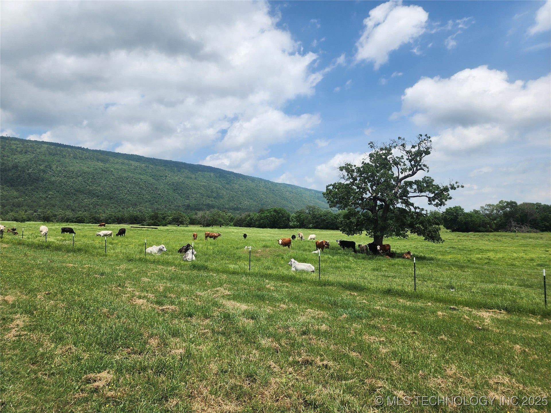 Talihina, Oklahoma, 74571, United States, ,2 BathroomsBathrooms,Residential,Active,1820338