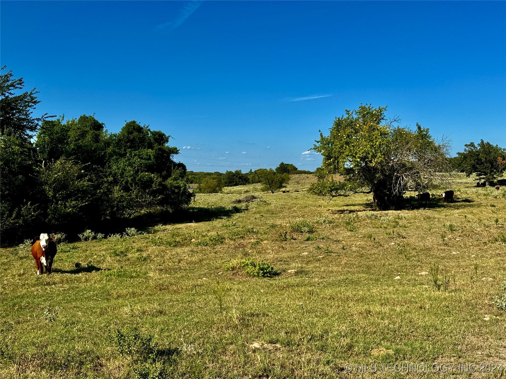 Marietta, Oklahoma, 73448, United States, ,1 BathroomBathrooms,Residential,Active,1704476