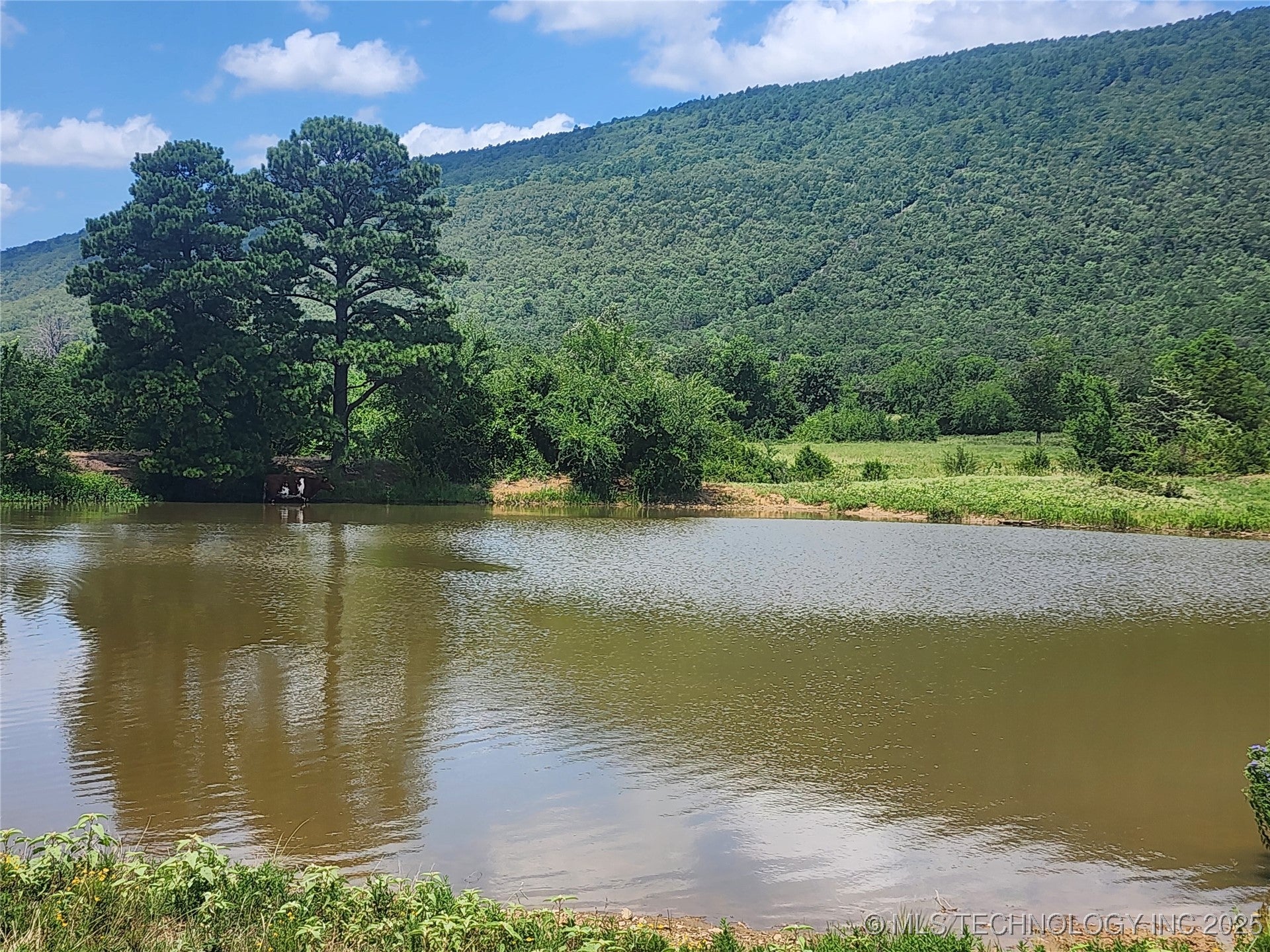 Talihina, Oklahoma, 74571, United States, ,2 BathroomsBathrooms,Residential,Active,1820338