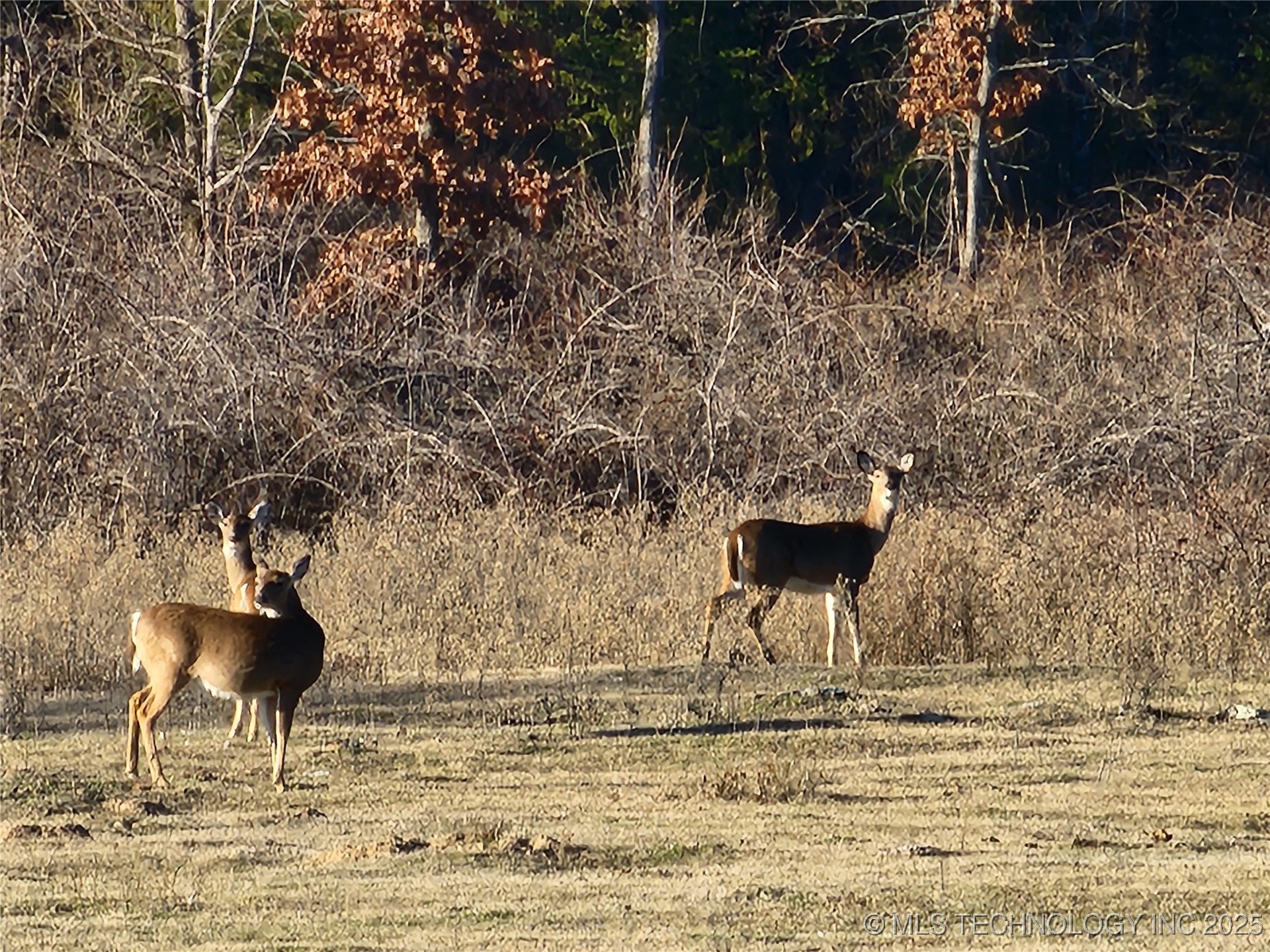 Talihina, Oklahoma, 74571, United States, ,2 BathroomsBathrooms,Residential,Active,1820338