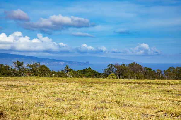 0 HALIIMAILE RD, MAKAWAO, HI 96768 - Image 1