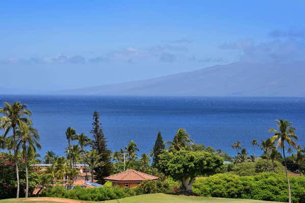 50 PUU ANOANO ST APT 903, LAHAINA, HI 96761 - Image 1