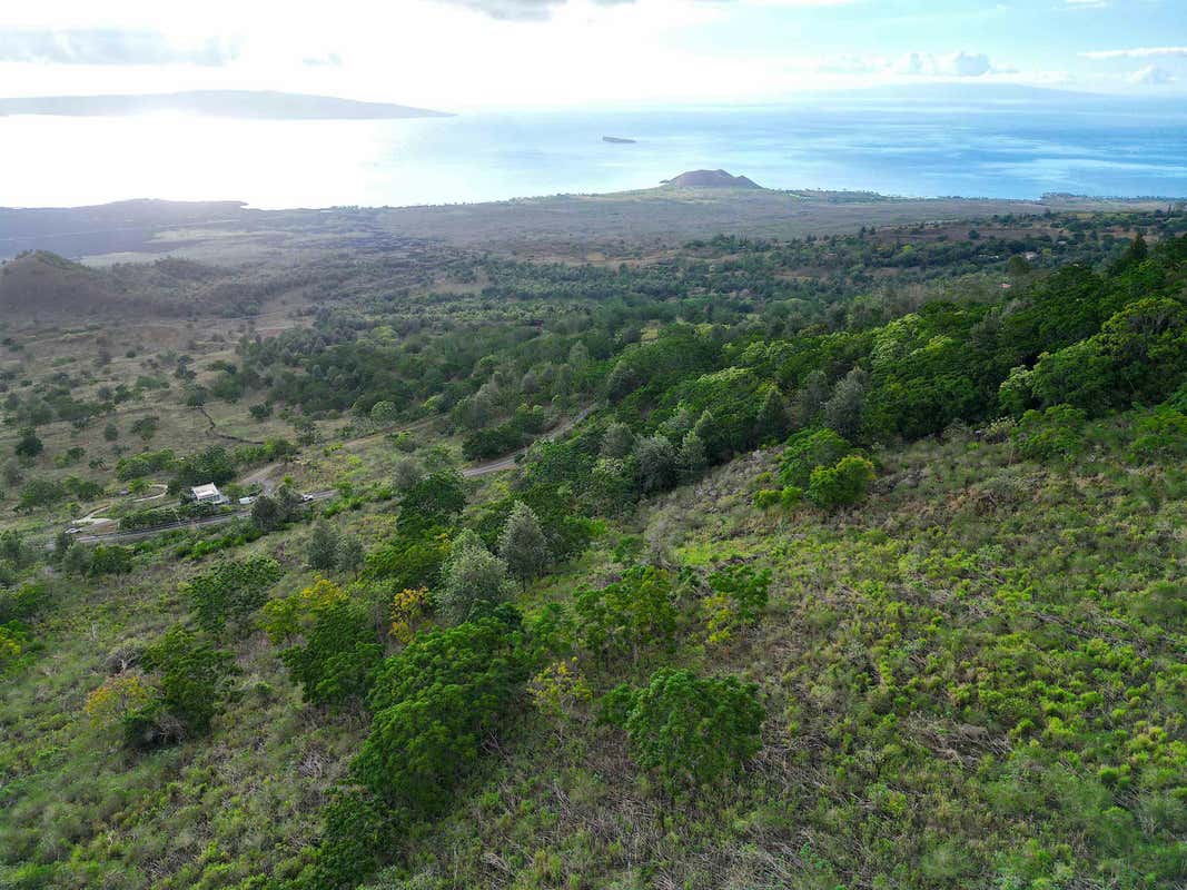 0 ULUPALAKUA RD, KULA, HI 96790, photo 1 of 3