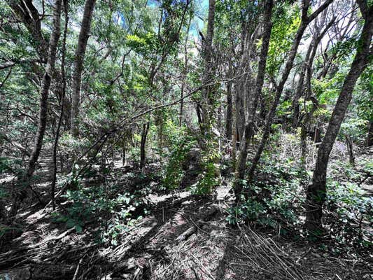 0 KAHANUI ACRES PL # LOT B, HOOLEHUA, HI 96729, photo 3 of 4