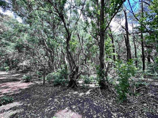 0 KAHANUI ACRES PL # LOT B, HOOLEHUA, HI 96729 - Image 1