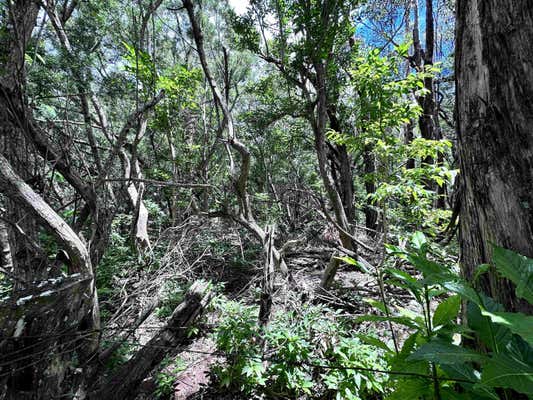 0 KAHANUI ACRES PL # LOT B, HOOLEHUA, HI 96729, photo 2 of 4