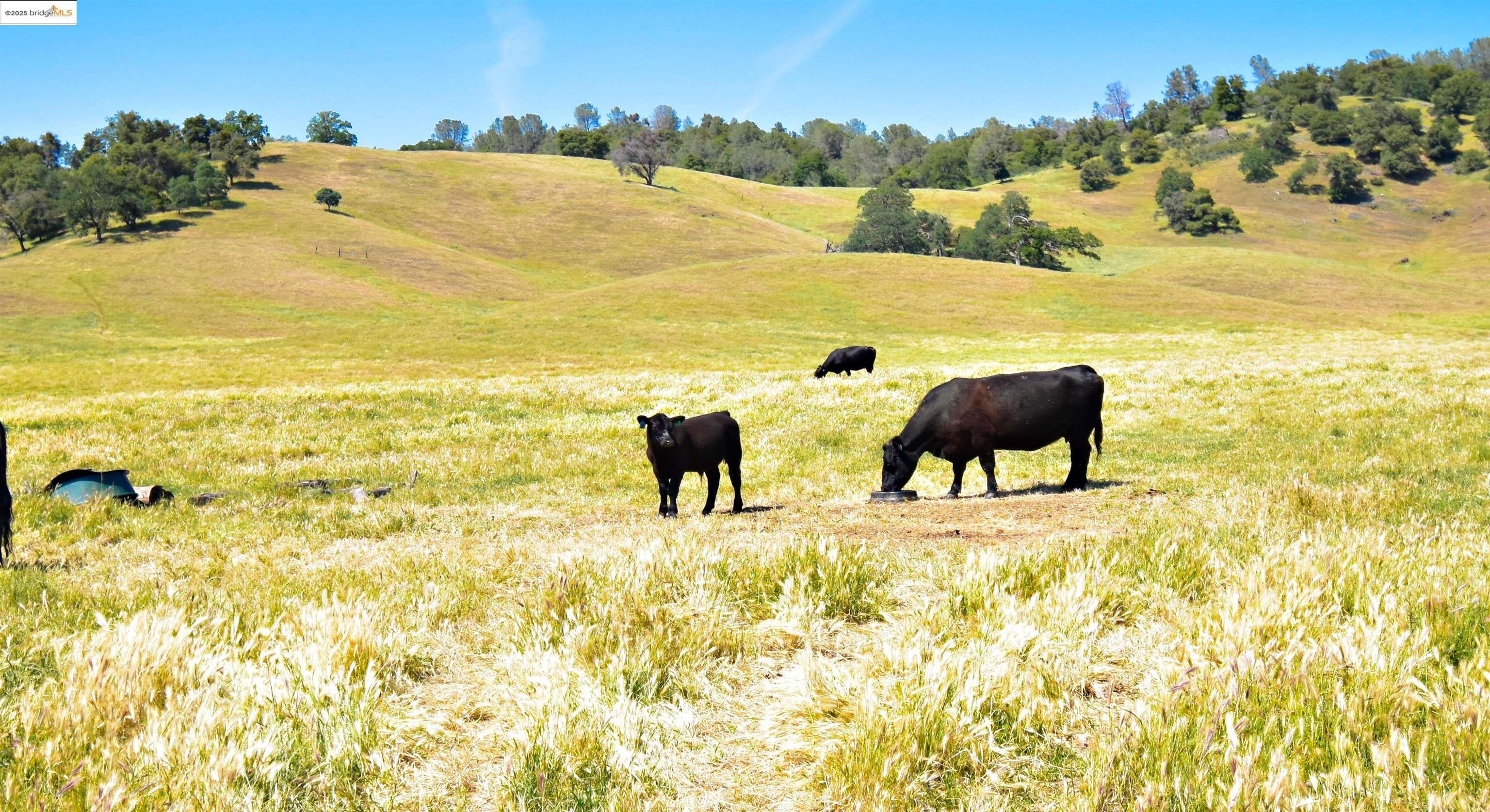 Sonora, California, 95370, United States, 3 Bedrooms Bedrooms, ,2 BathroomsBathrooms,Residential,Active,1990643