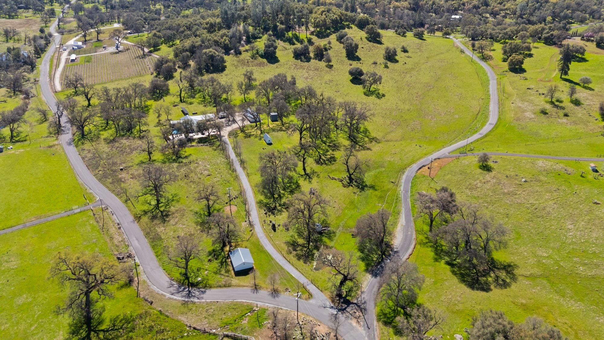 Angels Camp, California, 95222, United States, 4 Bedrooms Bedrooms, ,4 BathroomsBathrooms,Residential,Active,2015240