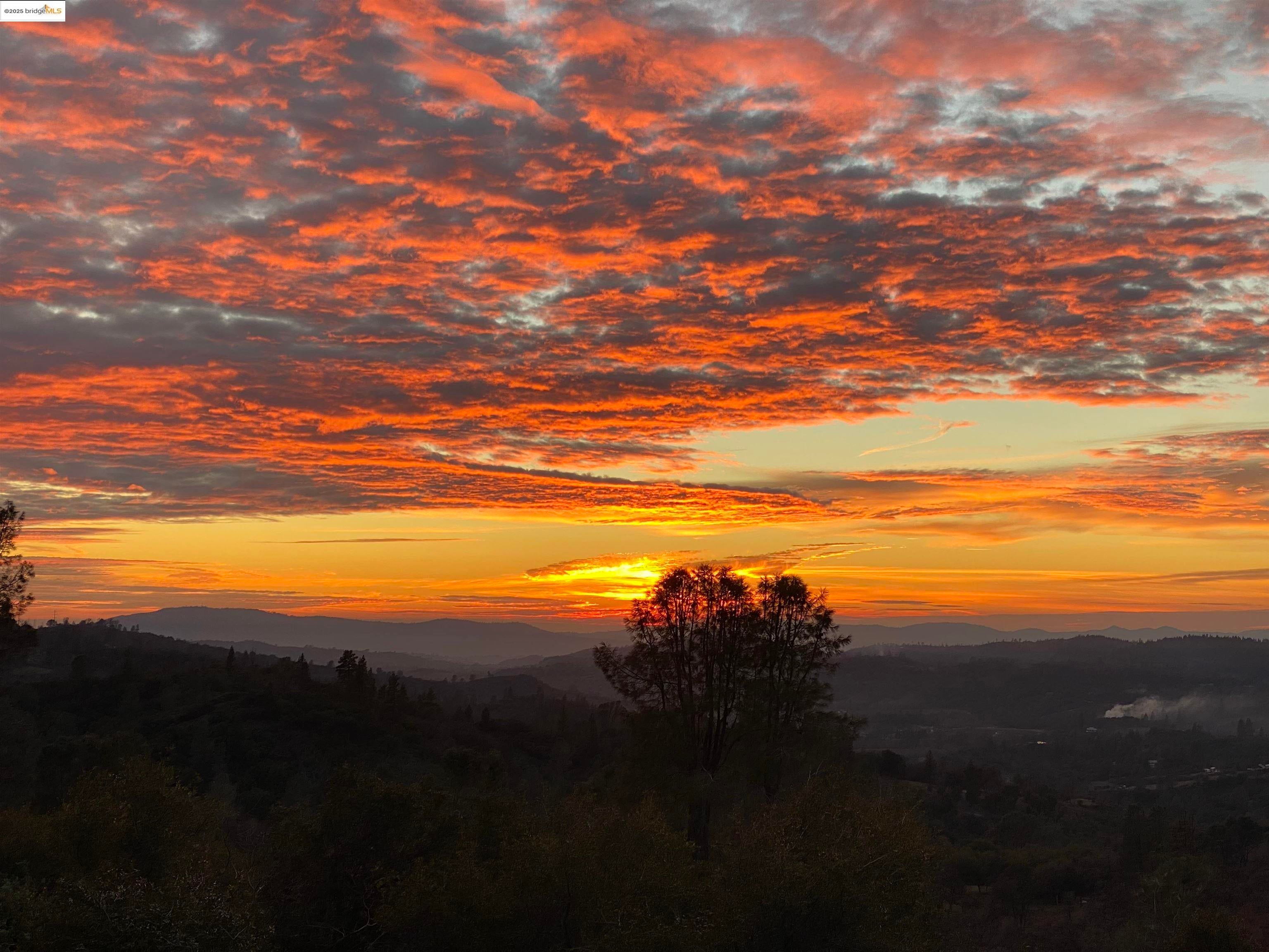 Murphys, California, 95247, United States, 4 Bedrooms Bedrooms, ,5 BathroomsBathrooms,Residential,Active,1987260