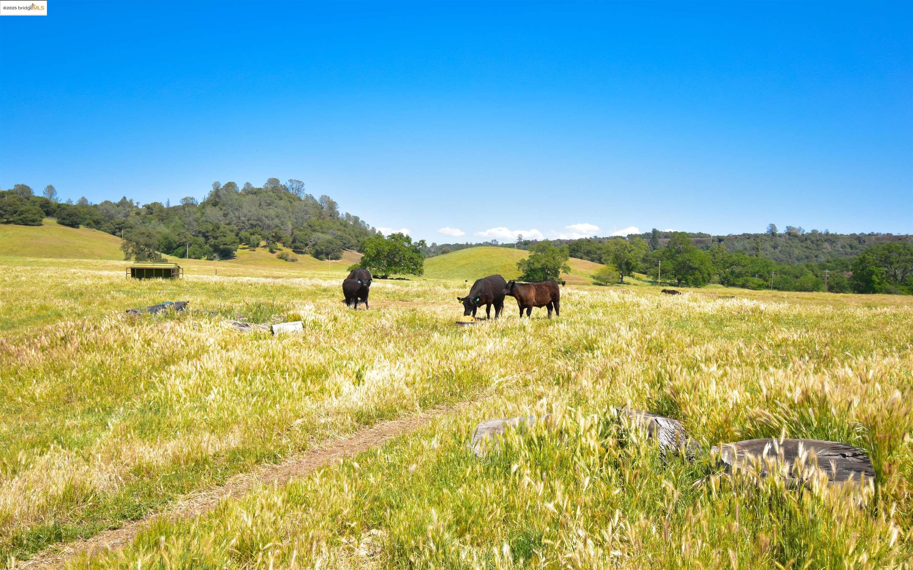 Sonora, California, 95370, United States, 3 Bedrooms Bedrooms, ,2 BathroomsBathrooms,Residential,Active,1990643