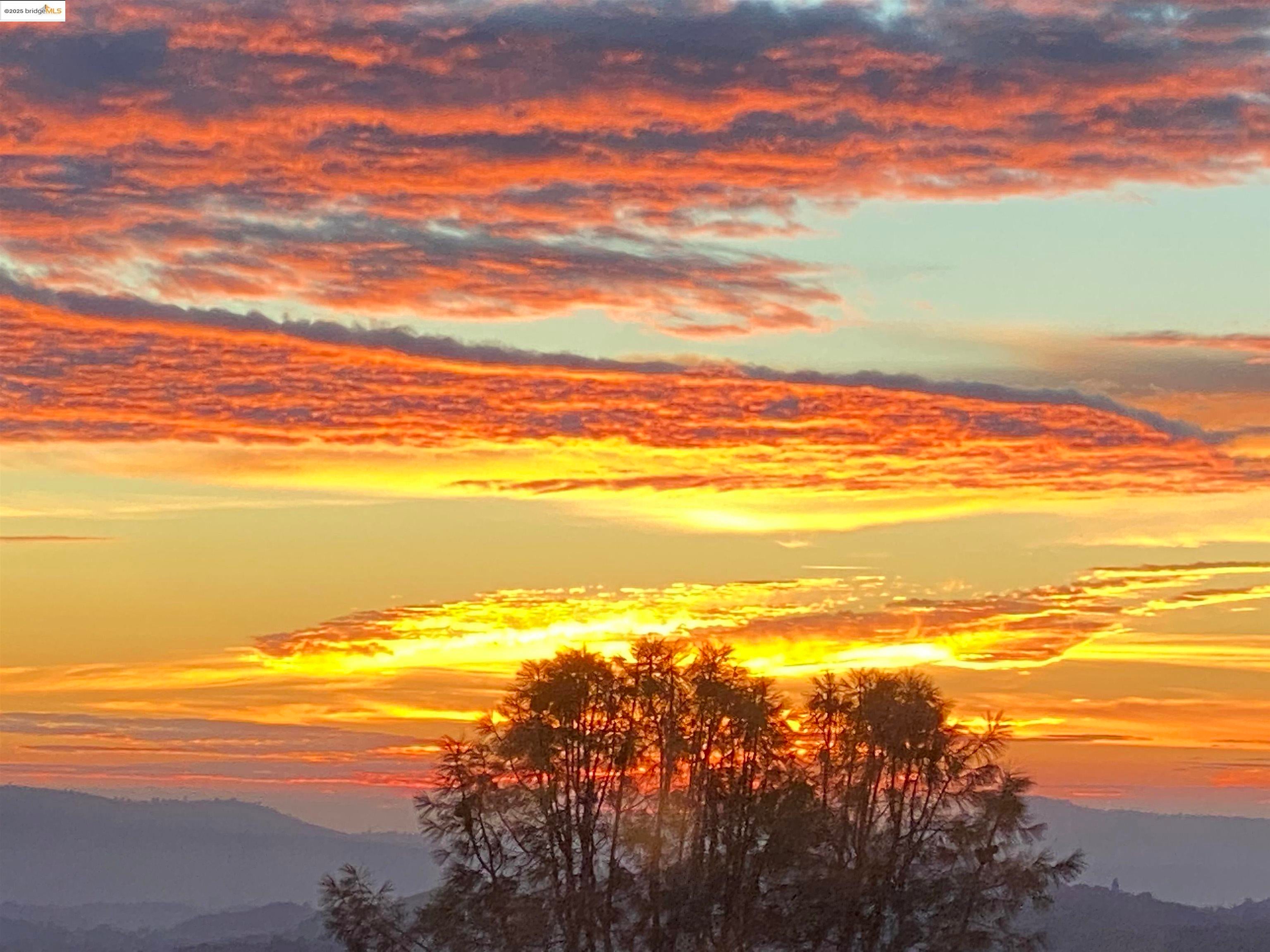 Murphys, California, 95247, United States, 4 Bedrooms Bedrooms, ,5 BathroomsBathrooms,Residential,Active,1987260