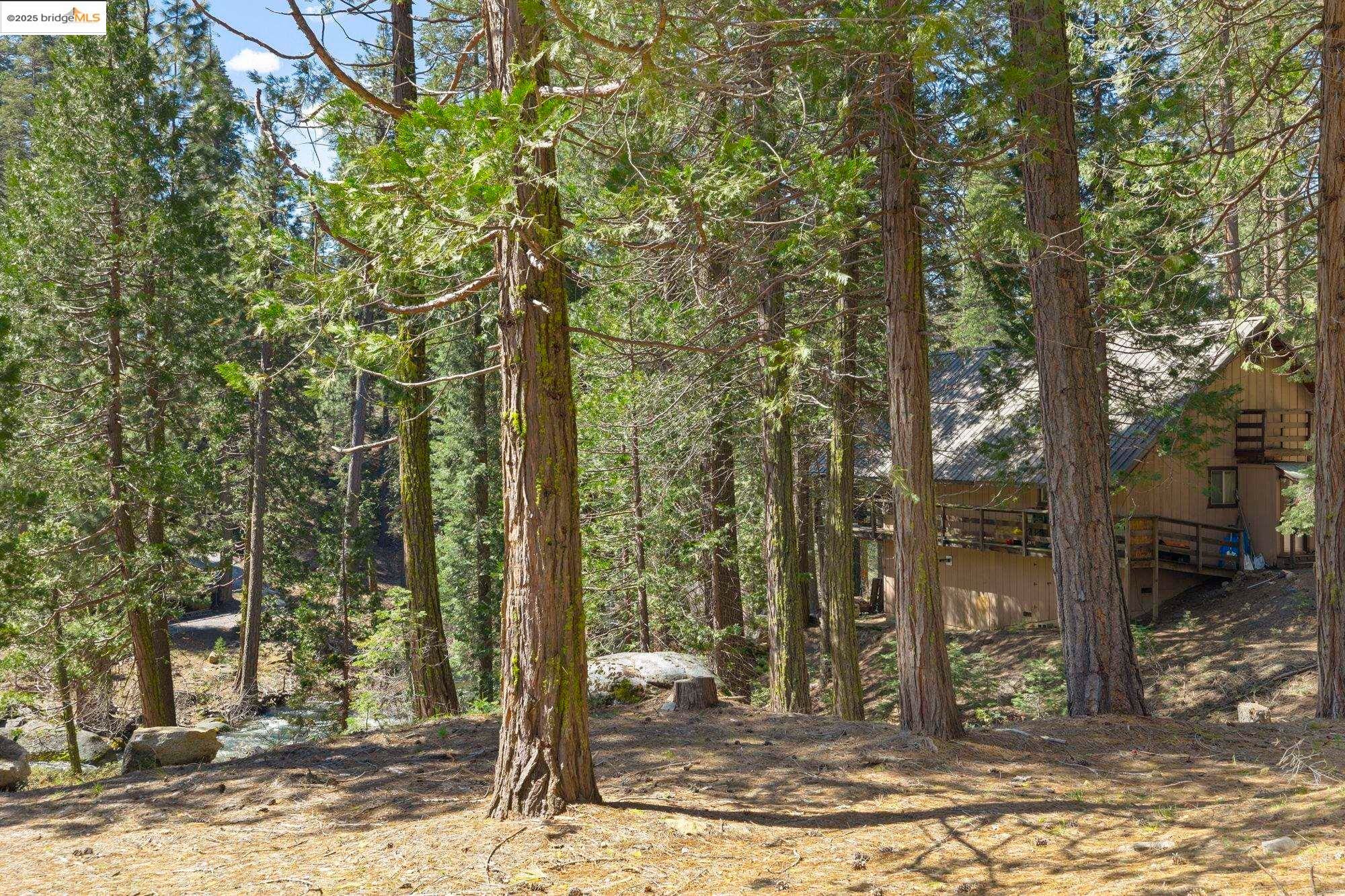 Strawberry, California, 95364, United States, 2 Bedrooms Bedrooms, ,1 BathroomBathrooms,Residential,Active,1824041