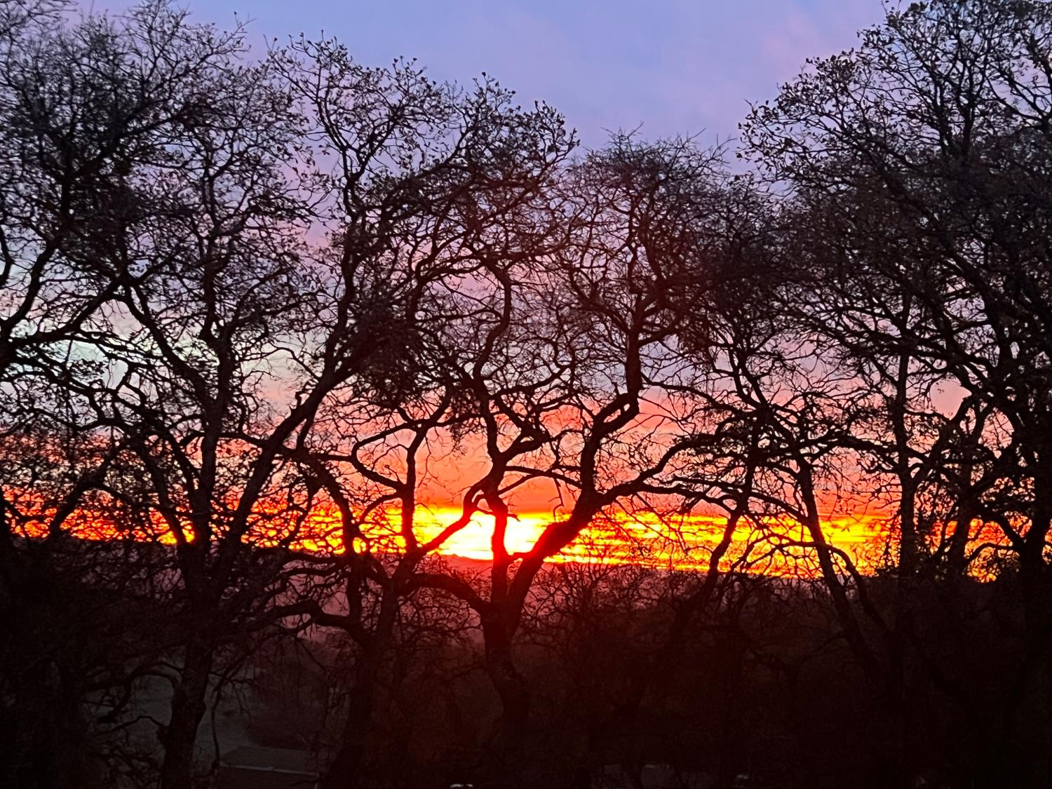 Angels Camp, California, 95222, United States, 3 Bedrooms Bedrooms, ,2 BathroomsBathrooms,Residential,Active,1942399