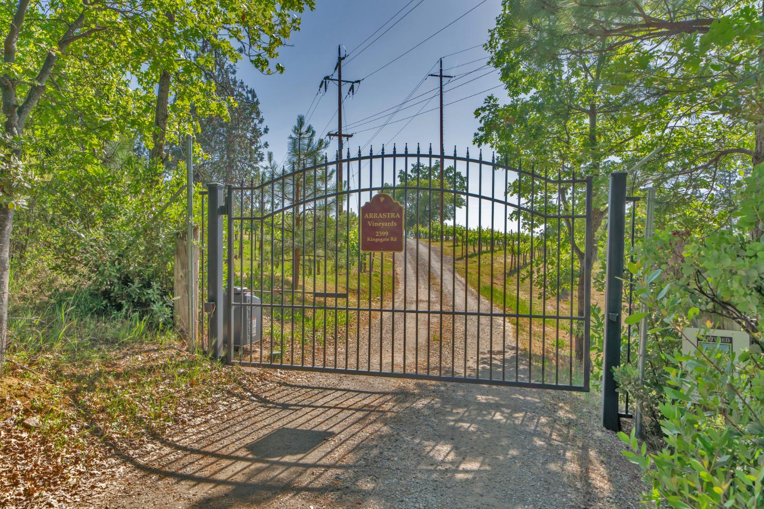 Placerville, California, 95667, United States, 3 Bedrooms Bedrooms, ,3 BathroomsBathrooms,Residential,Active,1834323