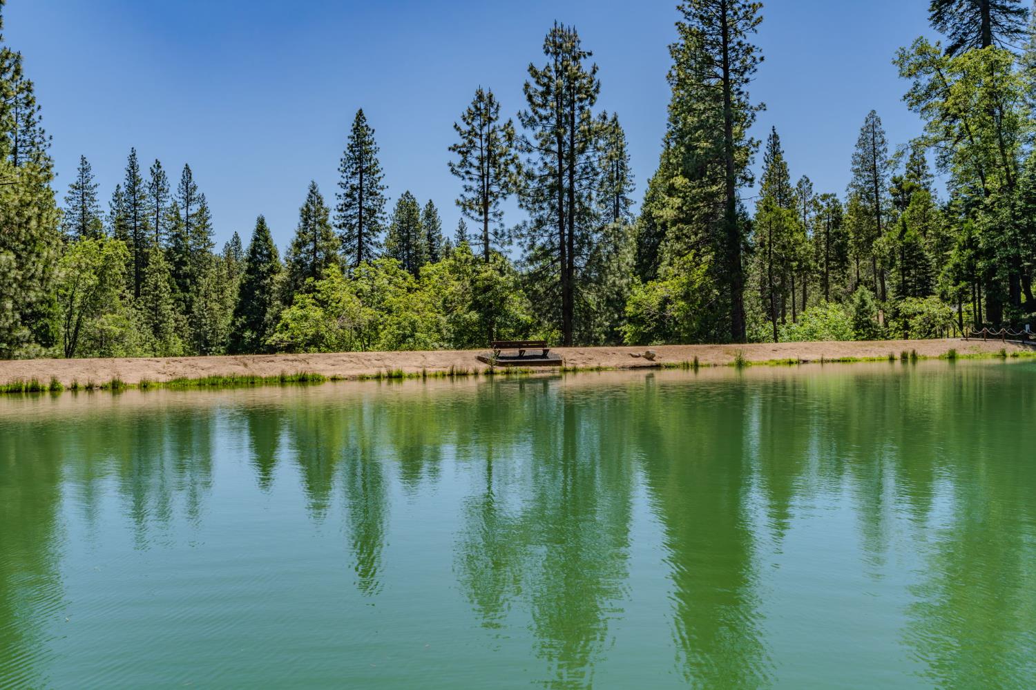 Arnold, California, 95223, United States, 3 Bedrooms Bedrooms, ,5 BathroomsBathrooms,Residential,Active,2044178