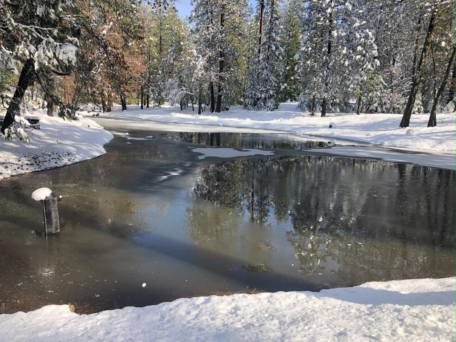 Pollock Pines, California, 95726, United States, 4 Bedrooms Bedrooms, ,3 BathroomsBathrooms,Residential,Active,1880012