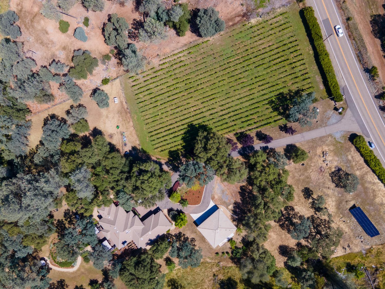 Placerville, California, 95667, United States, 3 Bedrooms Bedrooms, ,4 BathroomsBathrooms,Residential,Active,2042684