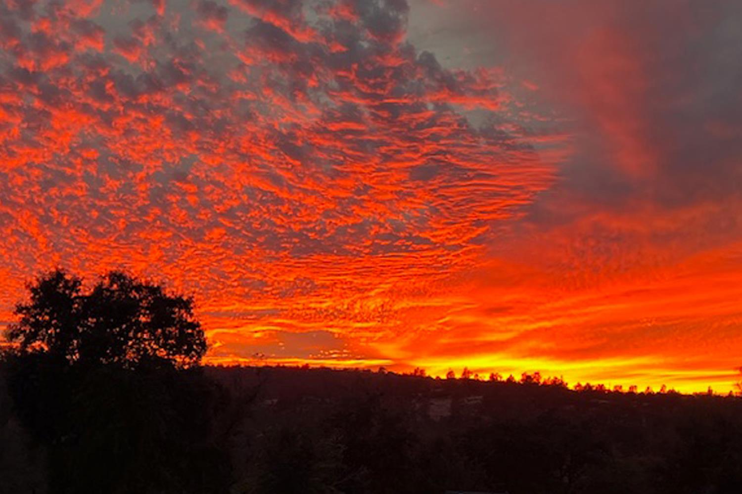 Smartsville, California, 95977, United States, 1 Bedroom Bedrooms, ,3 BathroomsBathrooms,Residential,Active,1952299