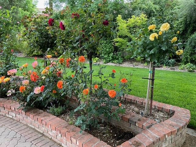 Davis, California, 95616, United States, ,5 BathroomsBathrooms,Residential,Active,1843441