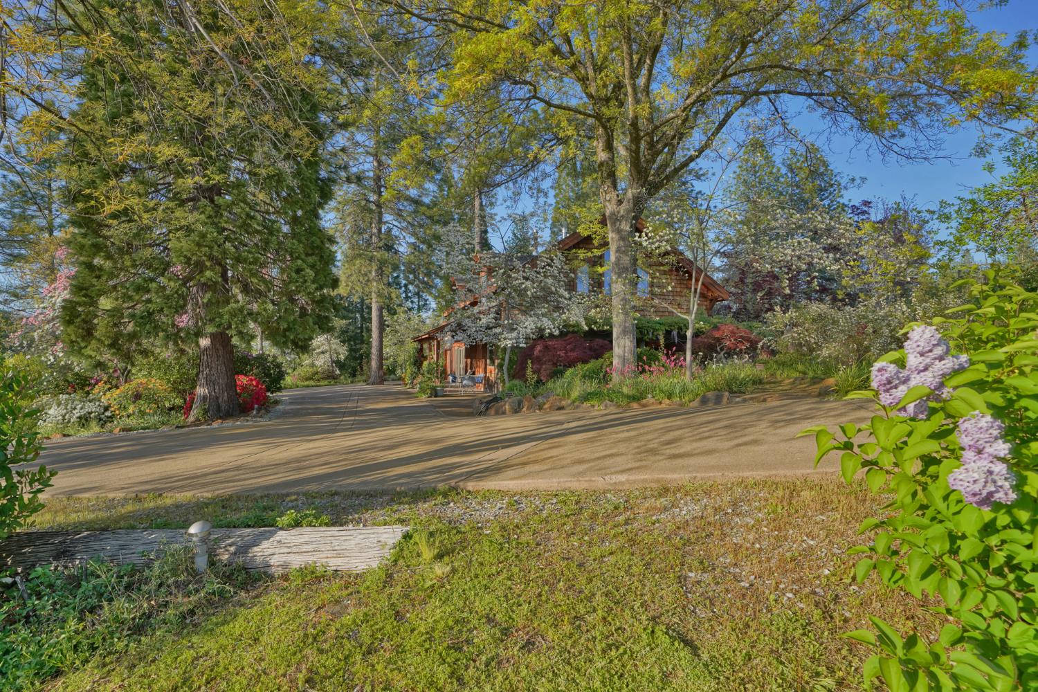 Placerville, California, 95667, United States, 3 Bedrooms Bedrooms, ,3 BathroomsBathrooms,Residential,Active,1834323