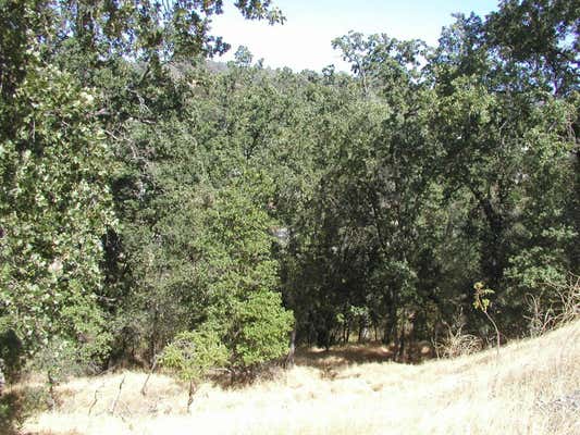 0 RASPBERRY LANE, ANGELS CAMP, CA 95222, photo 5 of 49