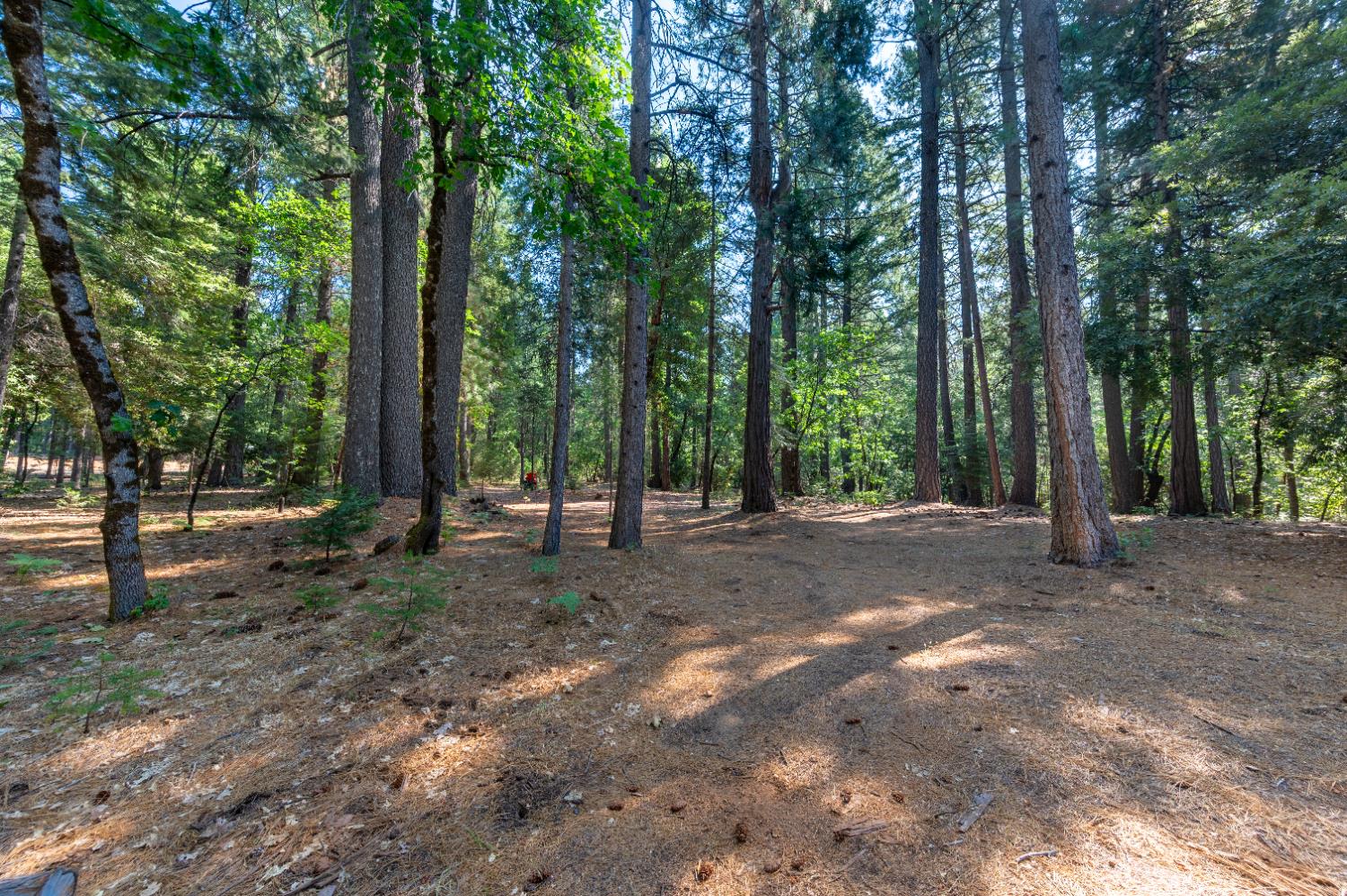 Nevada City, California, 95959, United States, 3 Bedrooms Bedrooms, ,4 BathroomsBathrooms,Residential,Active,1919052