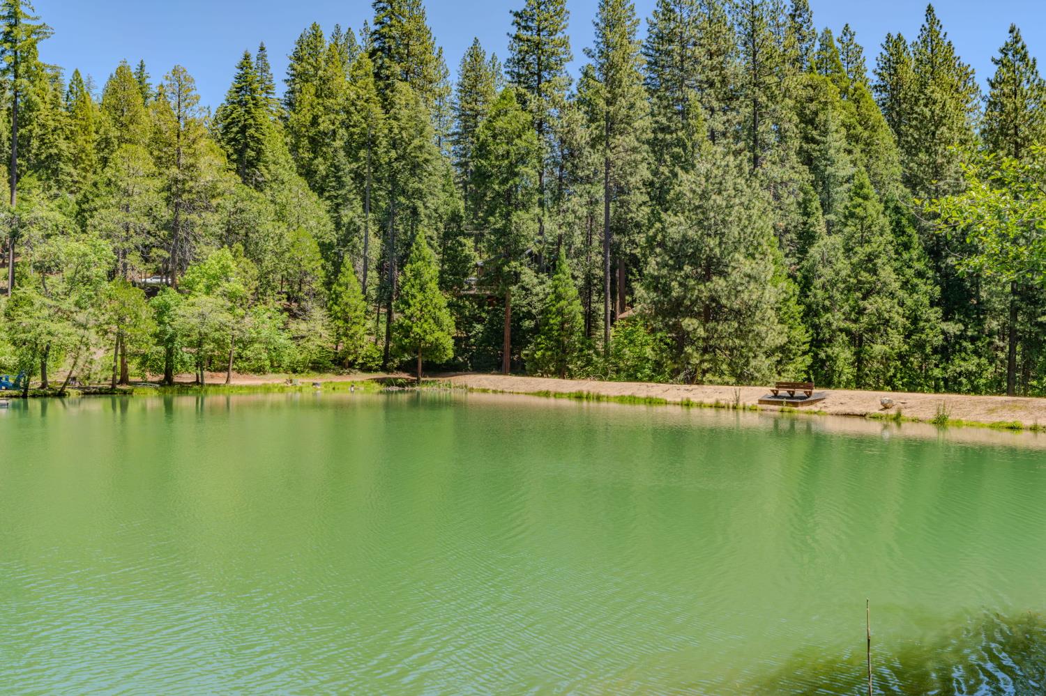 Arnold, California, 95223, United States, 3 Bedrooms Bedrooms, ,5 BathroomsBathrooms,Residential,Active,2044178