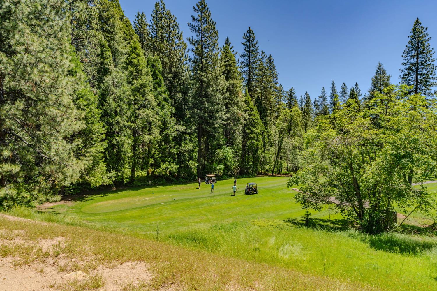Arnold, California, 95223, United States, 3 Bedrooms Bedrooms, ,5 BathroomsBathrooms,Residential,Active,2044178