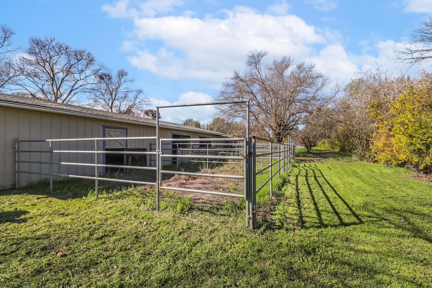 Woodland, California, 95695, United States, 4 Bedrooms Bedrooms, ,3 BathroomsBathrooms,Residential,Active,1929675
