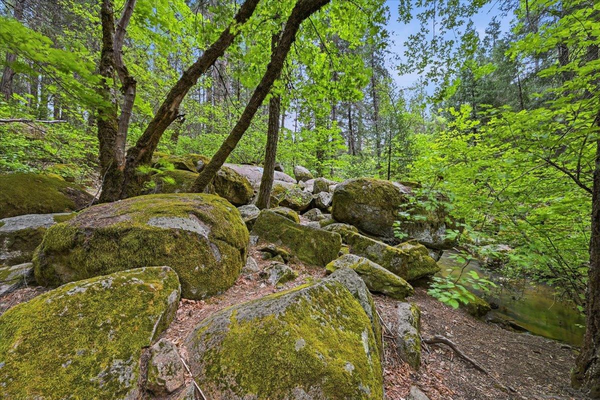 Nevada City, California, 95959, United States, 3 Bedrooms Bedrooms, ,3 BathroomsBathrooms,Residential,Active,2043425