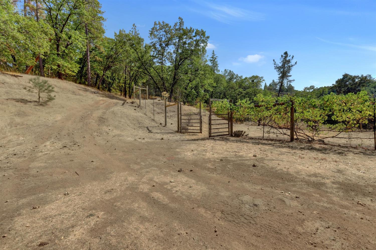 Grass Valley, California, 95949, United States, 4 Bedrooms Bedrooms, ,5 BathroomsBathrooms,Residential,Active,1941342