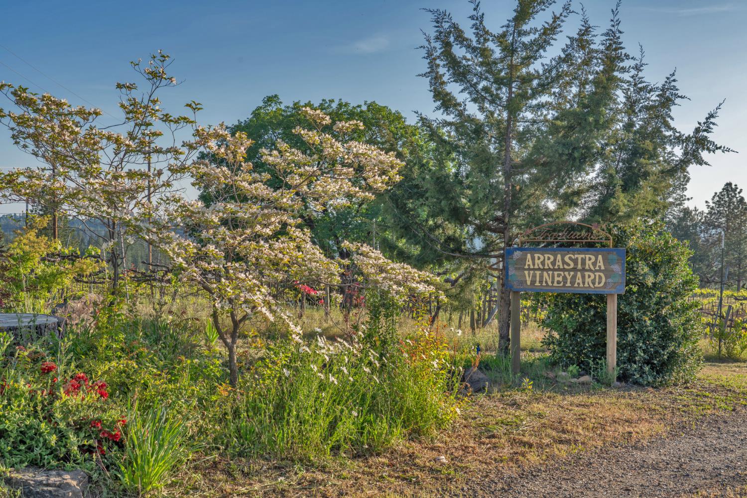 Placerville, California, 95667, United States, 3 Bedrooms Bedrooms, ,3 BathroomsBathrooms,Residential,Active,1834323