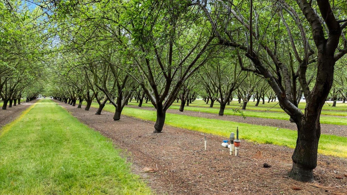 Ripon, California, 95366, United States, 3 Bedrooms Bedrooms, ,5 BathroomsBathrooms,Residential,Active,1808206