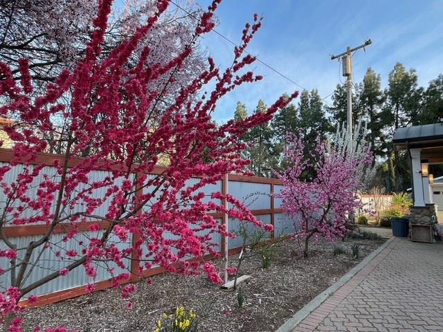Davis, California, 95616, United States, ,5 BathroomsBathrooms,Residential,Active,1843441